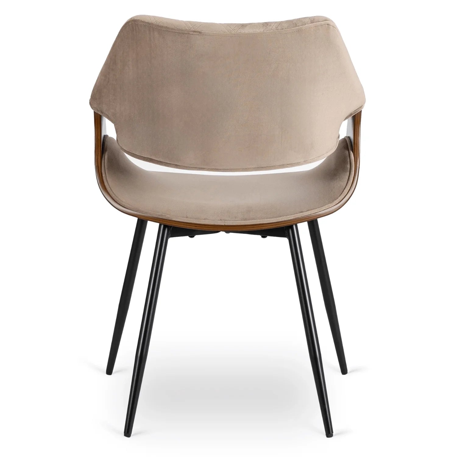Elite DAKOTA Beige/Walnuss Veloursstuhl – Eine Fusion aus Eleganz und Komfort